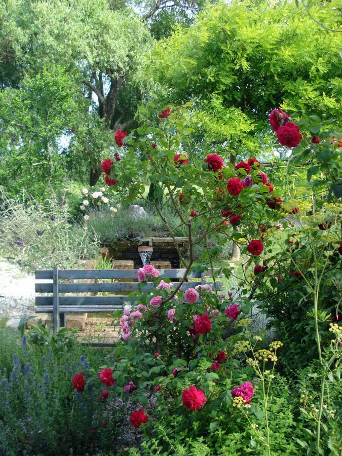 Ca' Ninota Villa Pianfei Dış mekan fotoğraf